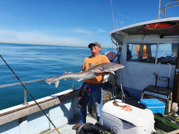 Angler holding a Tope