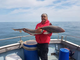 Angler holding a Tope