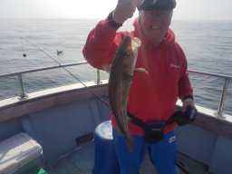 Angler holding up a Codling