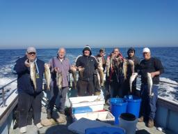 Several Happy Anglers holding up Codling