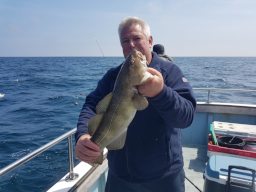 Angler holding a Codling